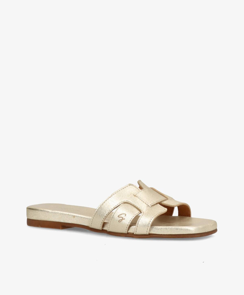 KOLLEKTIONSPRØVE #537