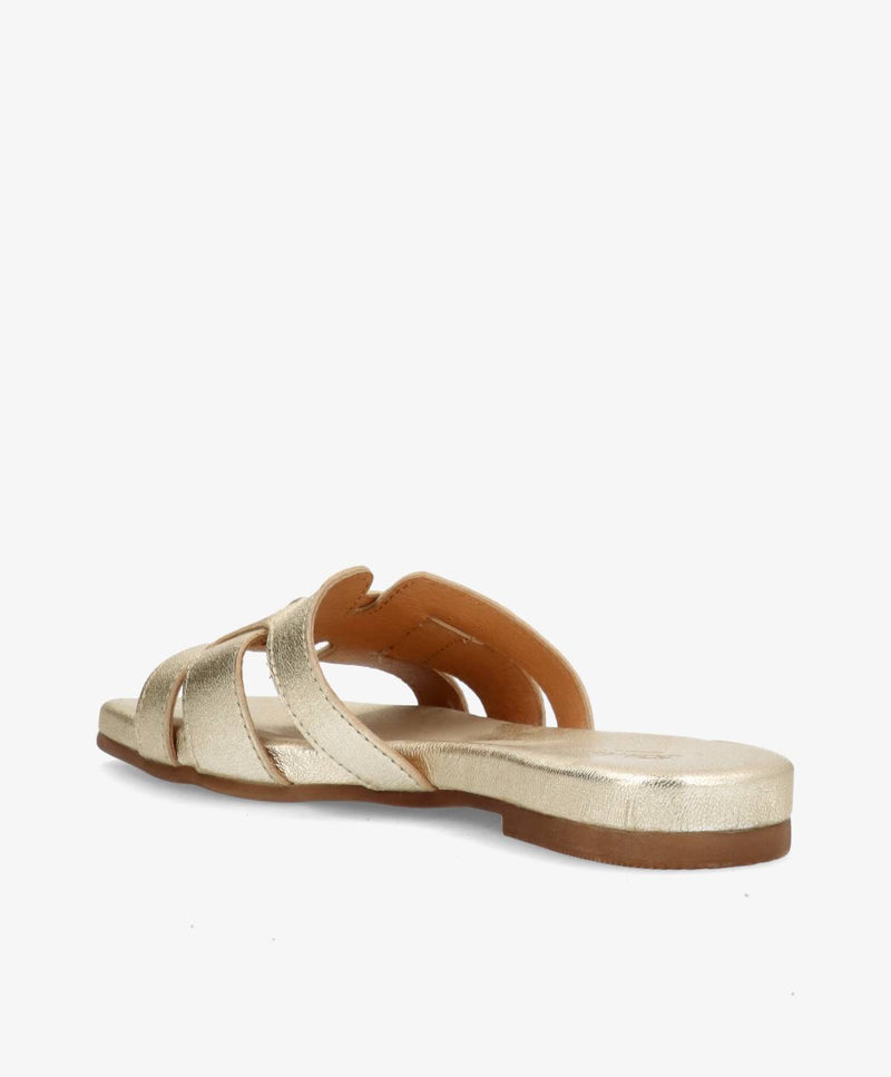 KOLLEKTIONSPRØVE #537