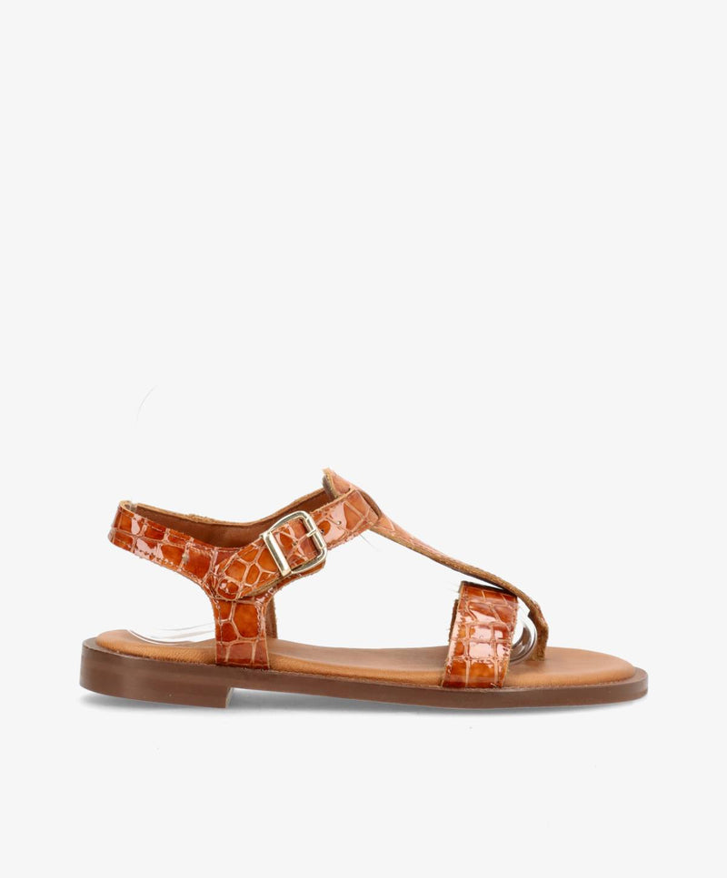 KOLLEKTIONSPRØVE #534