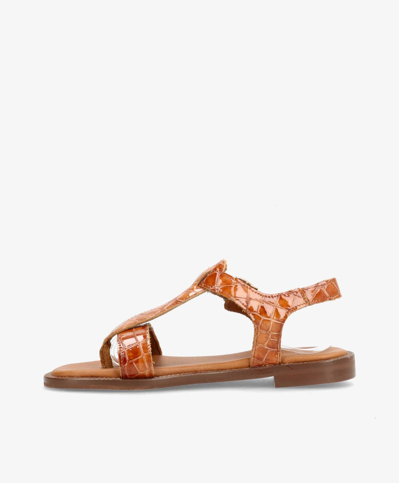 KOLLEKTIONSPRØVE #534