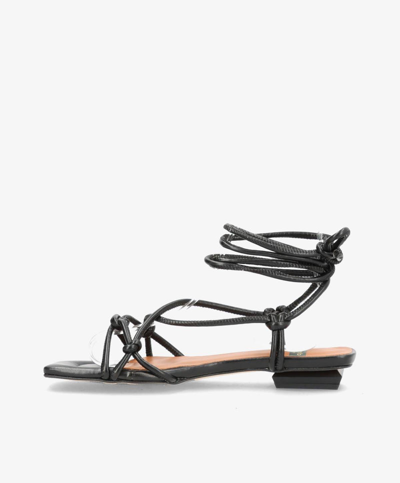 KOLLEKTIONSPRØVE #509