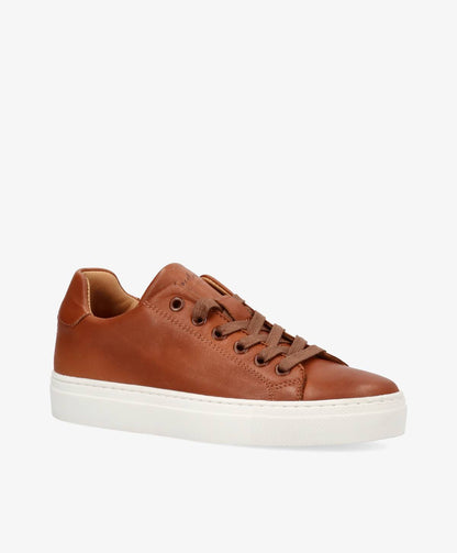 STELLA - Sneakers - Camel