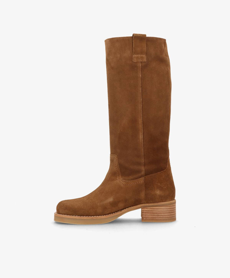 CAMERON LONG S - Nøddebrun ruskind - Lang støvle Dame