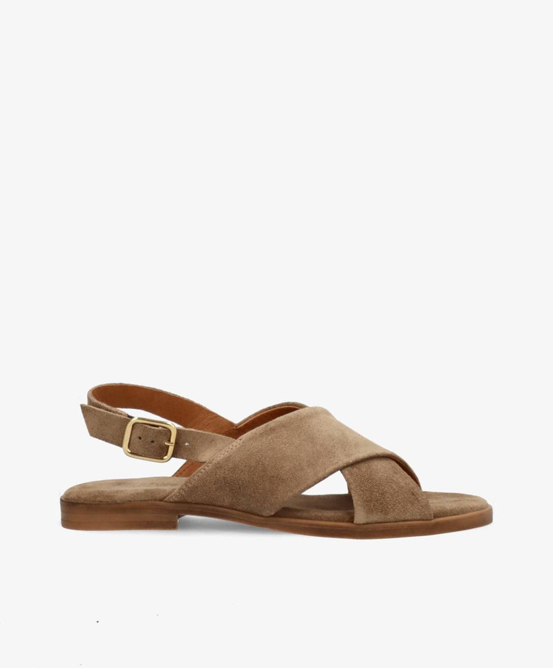 NICOLA S - Mørk beige ruskind - Flad sandal Dame